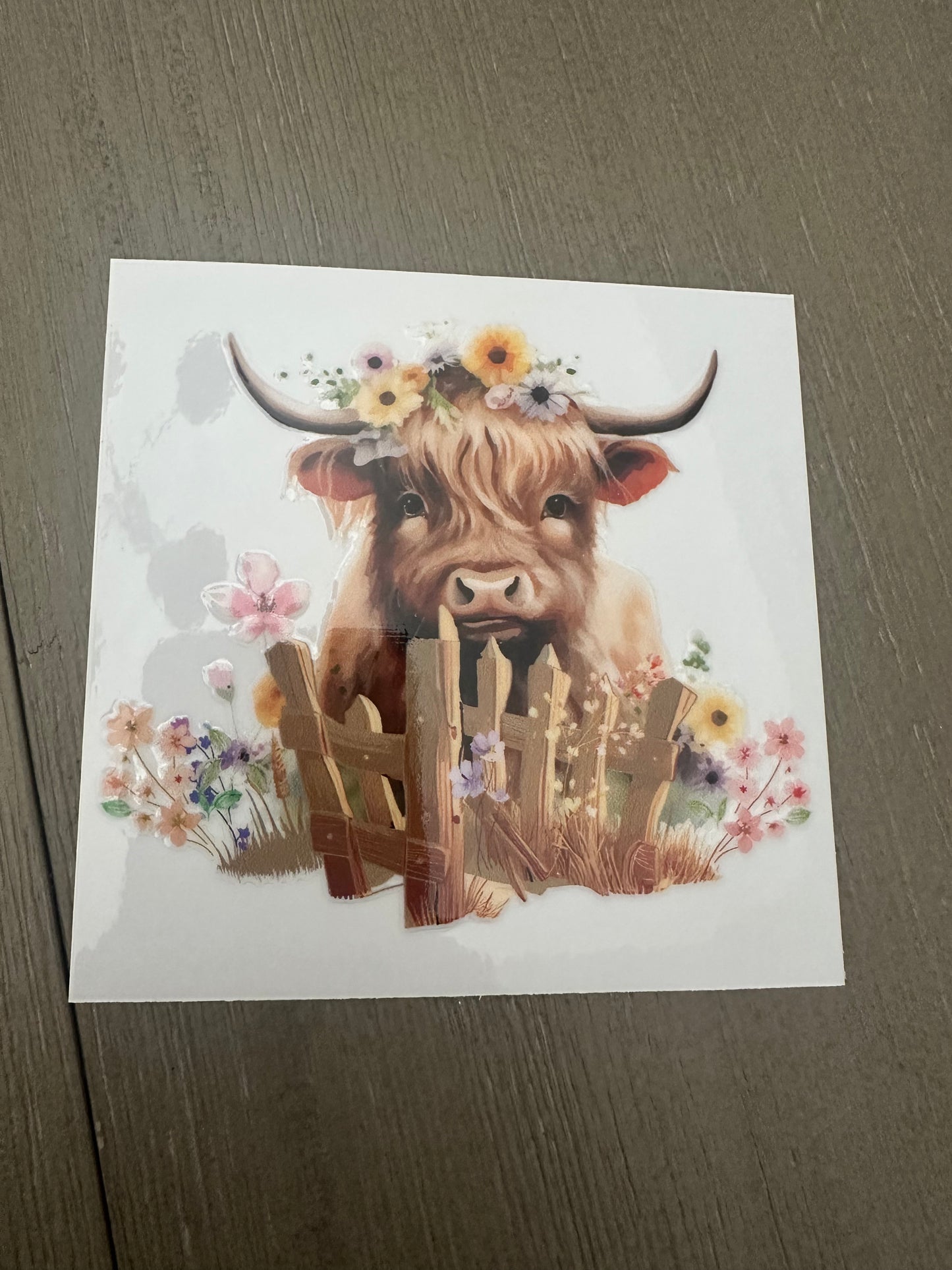 Cow Decal