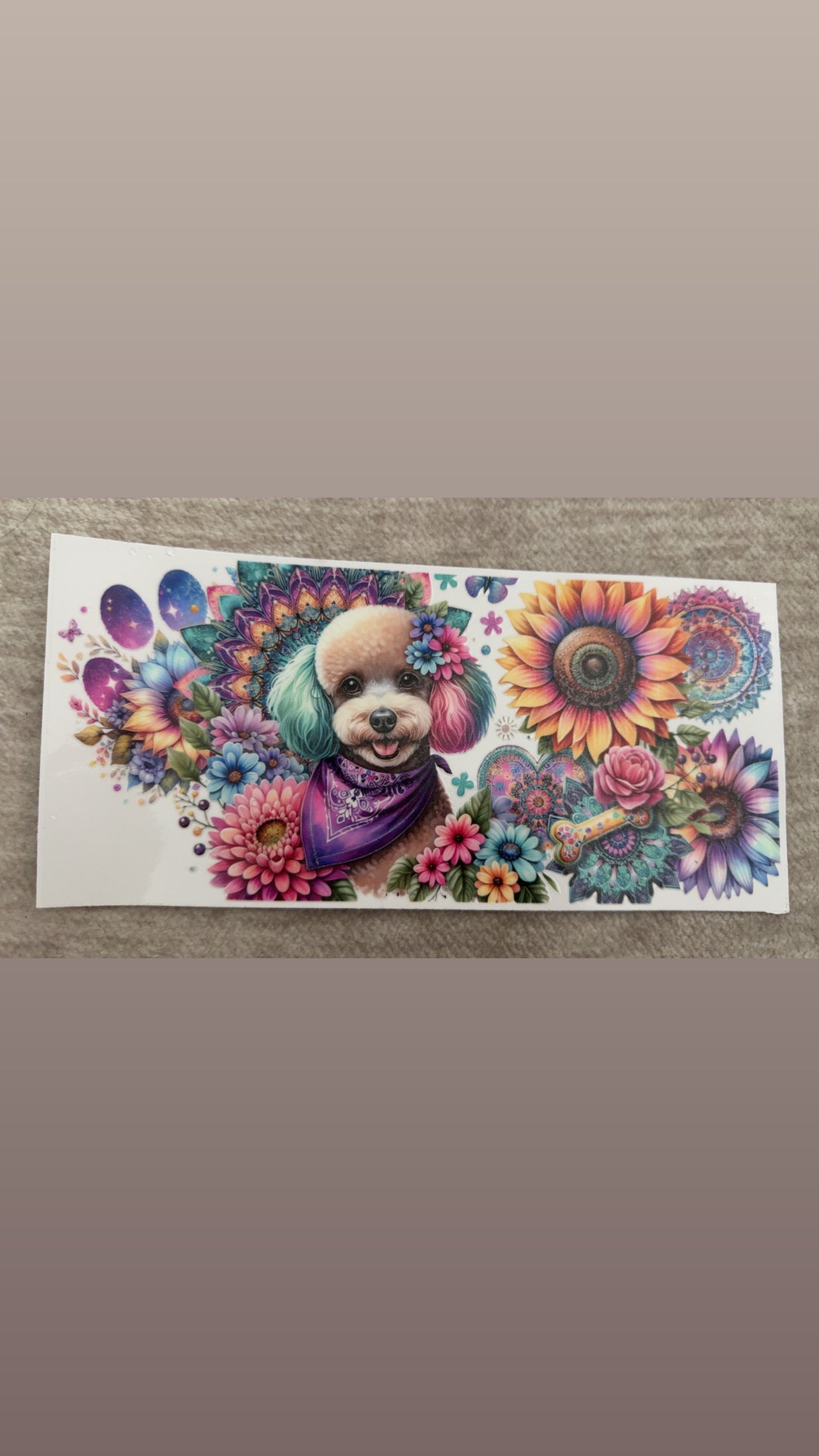 683